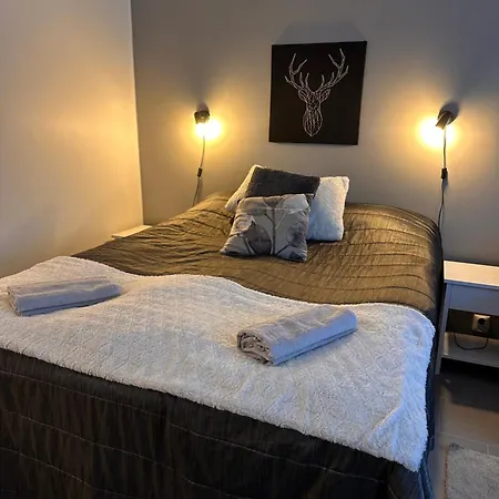 Arctic Star - Lumitaehti * Levi