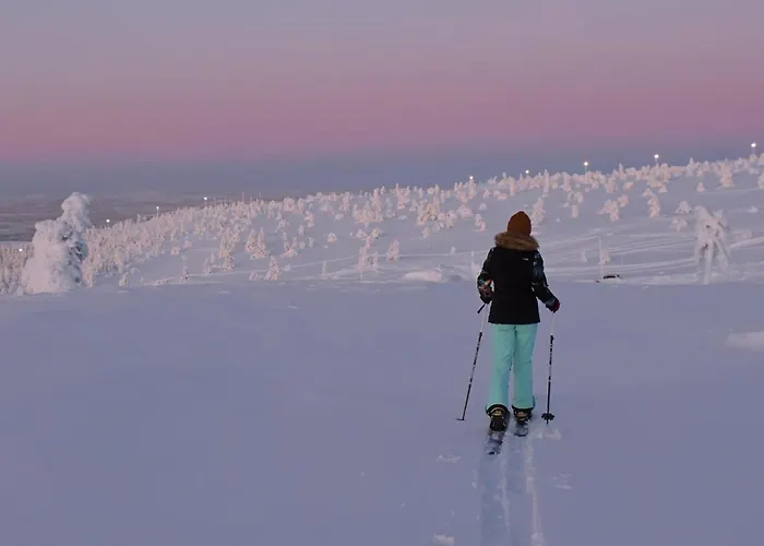 Appartement Arctic Star - Lumitaehti *