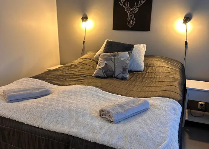 Arctic Star - Lumitaehti * Levi